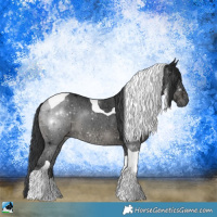 Horse Color:Black Ice Tobiano Rabicano 