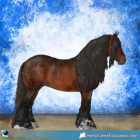 Horse Color:Bay Ice Sabino Rabicano 