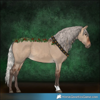 Horse Color:Silver Brown Dun