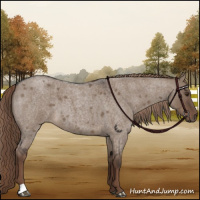 Horse Color:Liver Red Dun Roan 
