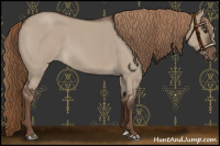 Horse Color:Liver Red Dun Roan 