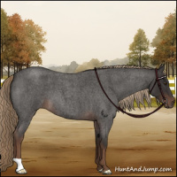Horse Color:Liver Red Roan 