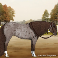Horse Color:Liver Red Roan Rabicano