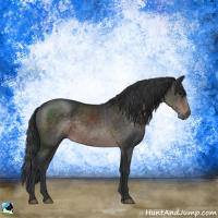 Horse Color:Platinum Brown Rabicano 