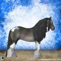 Horse Color:Platinum Black Tobiano