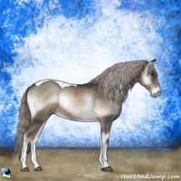 Horse Color:Platinum Liver Red Onyx Tobiano Rabicano 