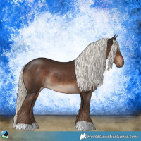 Horse Color:Liver Chestnut Mushroom Rabicano 