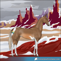 Horse Color:White Spotted Chocolate Palomino Tobiano 