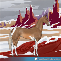 Horse Color:White Spotted Chocolate Palomino Tobiano 