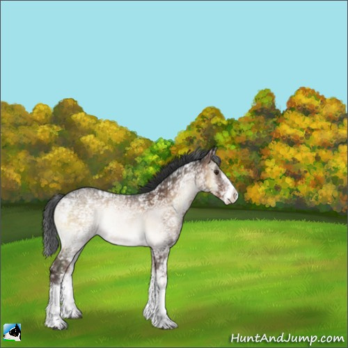 Horse Color:Liver Red Onyx Ice Sabino Rabicano 