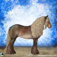 Horse Color:Liver Chestnut Rabicano