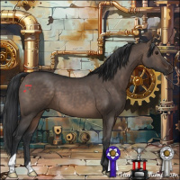 Horse Color:Brown Dun 