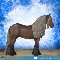 Horse Color:Liver Chestnut Mushroom Rabicano 