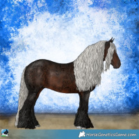 Horse Color:Liver Chestnut Ice Mushroom Rabicano 
