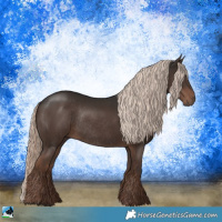 Horse Color:Liver Chestnut Mushroom Rabicano 