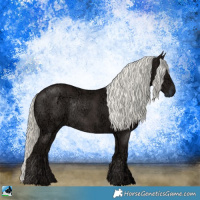 Horse Color:Liver Chestnut Ice Mushroom Rabicano 