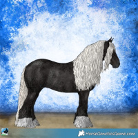 Horse Color:Liver Chestnut Ice Mushroom Rabicano 