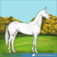 Horse Color:Silver Buckskin Pearl Blanket 