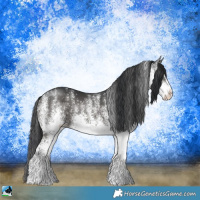 Horse Color:White Spotted Black 