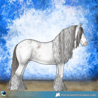 Horse Color:White Spotted Liver Chestnut Sabino Blanket 