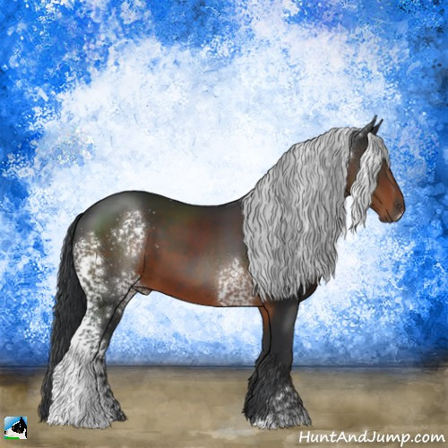 Horse Color:White Spotted Brown 