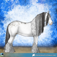 Horse Color:White Spotted Smoky Blue Onyx Rabicano 