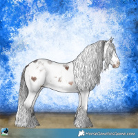 Horse Color:White Spotted Bay Sabino Splash Rabicano 