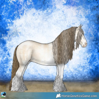 Horse Color:White Spotted Buckskin Pearl Dun Rabicano 