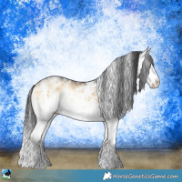 Horse Color:White Spotted Buckskin Ice Onyx Sabino Rabicano 