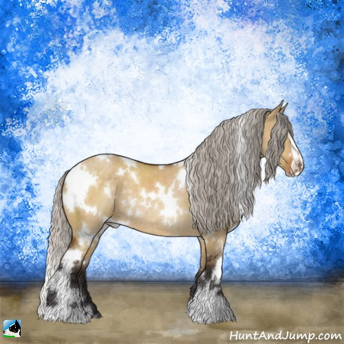 Horse Color:White Spotted Silver Buckskin Dun Sabino Rabicano 