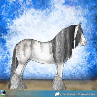 Horse Color:White Spotted Brown Dun 