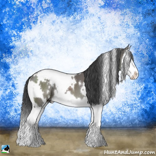 Horse Color:White Spotted Grullo Sabino Splash 