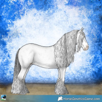 Horse Color:White Spotted Black Sabino Rabicano 