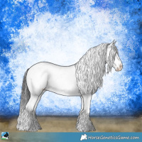 Horse Color:Smoky Blue Onyx Sabino Rabicano 