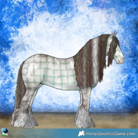 Horse Color:Plaid  White Spotted Chocolate Brown Chinchilla Sabino Rabicano 