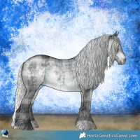 Horse Color:Plaid  Silver Brown Chinchilla Rabicano 