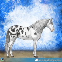 Horse Color:Platinum Liver Chestnut Tobiano Appaloosa Rabicano