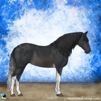 Horse Color:Platinum Brown Tobiano Rabicano 