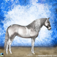Horse Color:Gray Platinum Silver Brown Roan Onyx Tobiano Rabicano 