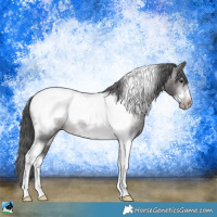Horse Color:Platinum Brown Dun Sabino Tobiano Frame Appaloosa Rabicano 