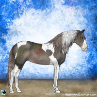 Horse Color:Platinum Liver Chestnut Splash Tobiano 