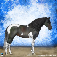 Horse Color:Brown Tobiano