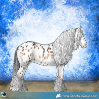 Horse Color:Liver Red Onyx Appaloosa Rabicano 