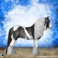 Horse Color:Gray Brown Sabino Tobiano Rabicano 