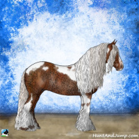 Horse Color:Silver Bay Ice Sabino Tobiano Rabicano 