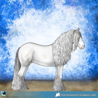 Horse Color:Brown Onyx Sabino Splash Tobiano Rabicano 