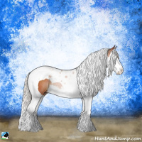 Horse Color:Silver Bay Splash Tobiano Rabicano