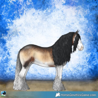 Horse Color:Brown Onyx Splash