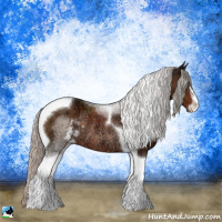 Horse Color:Silver Brown Ice Sabino Tobiano Rabicano 