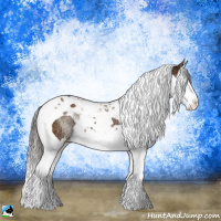 Horse Color:Brown Ice Splash Tobiano Rabicano 